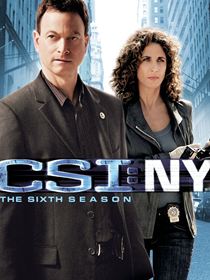 Les Experts : Manhattan Saison 6 en streaming